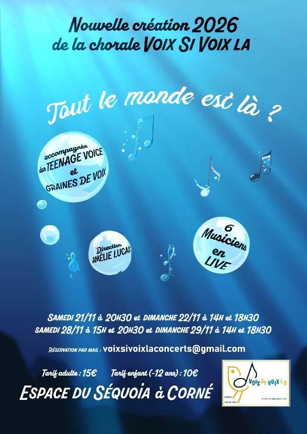 Affiche pour site concert vsvl 2026 tout le monde est la