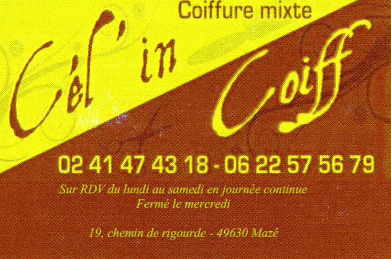 Carte visite cel'in coiff