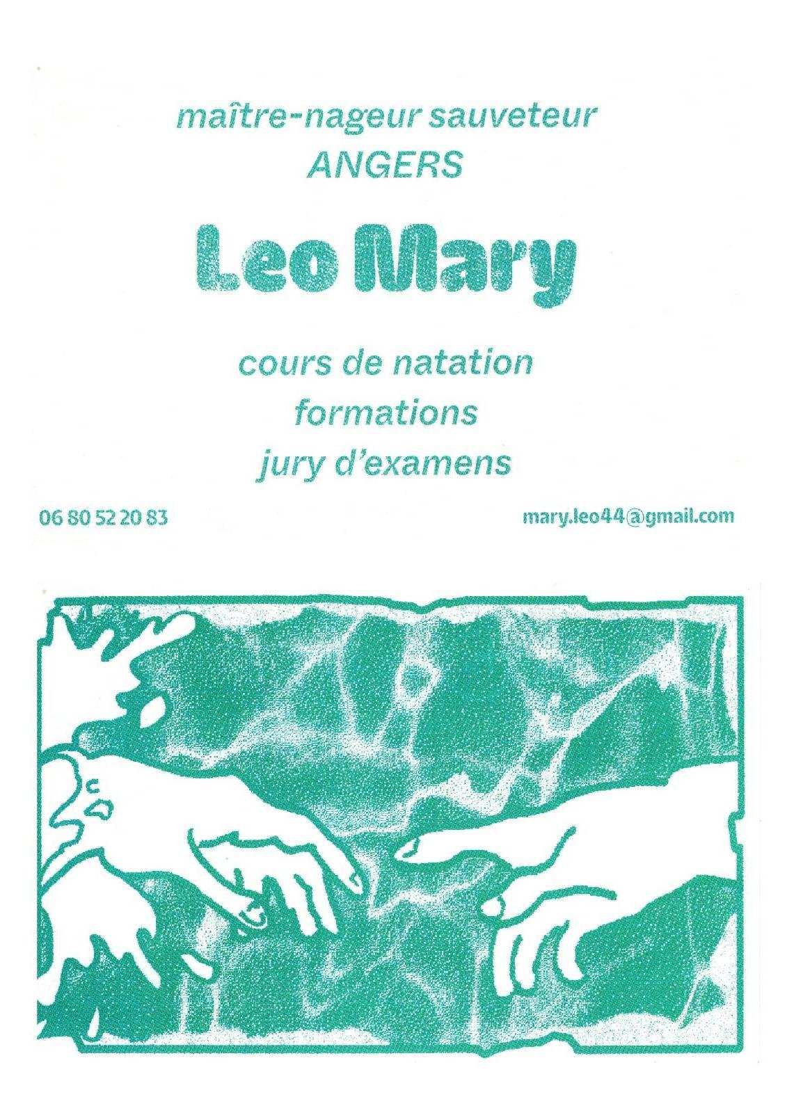 Carte visite leo mary